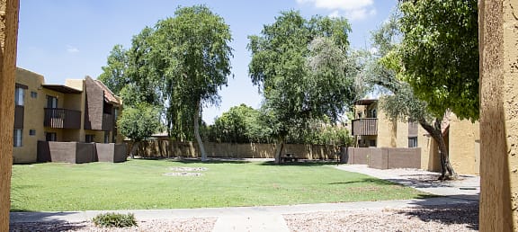 Madera at Metro Apartments in Phoenix, Arizona Exterior and Courtyard