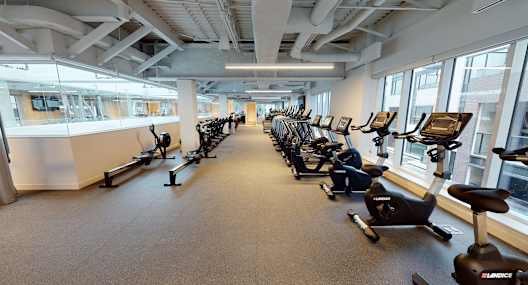 A gym with a row of exercise bikes.