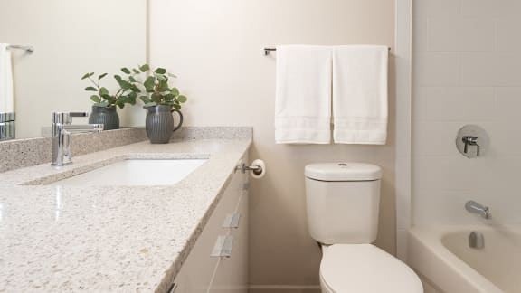 a bathroom with a toilet and a sink and a mirror