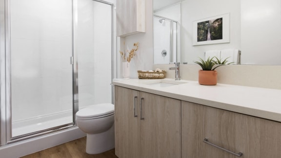 a bathroom with a toilet and a shower