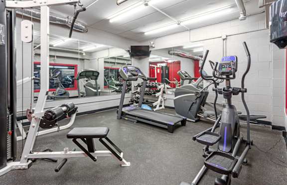 a fully equipped gym with cardio equipment and weights