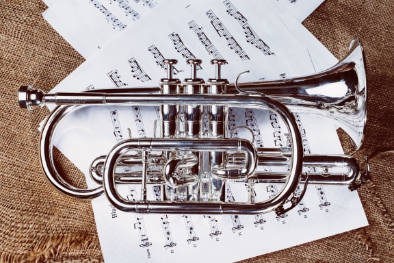 Musical Instrument at Patterson Place, California, 93111