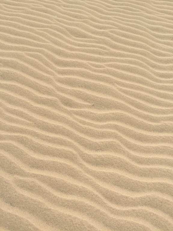 a close up of a desert with wavy sand