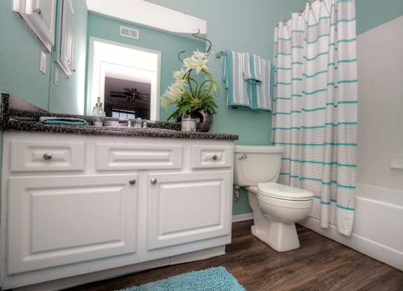 Modern, spacious bathrooms are in all Lincoln Shores apartment homes.