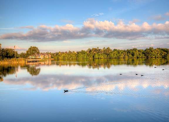 This lake front community is minutes from Tampa, local beaches, dining, and shopping.
