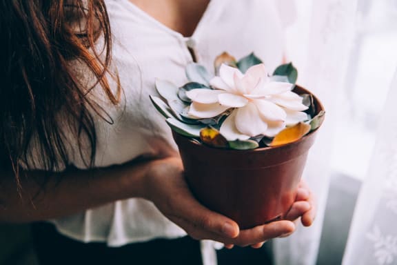 Holding Flower Pot at Patterson Place, Santa Barbara, CA, 93111