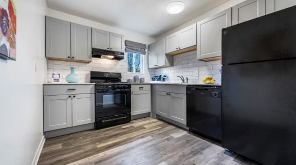The Hamptons Apartments in Virginia Beach renovated style Kitchen