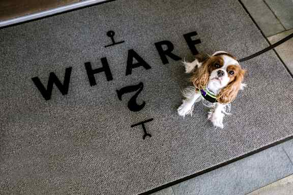 a small dog sitting on a doormat that says i share