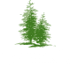 Tamarack Logo