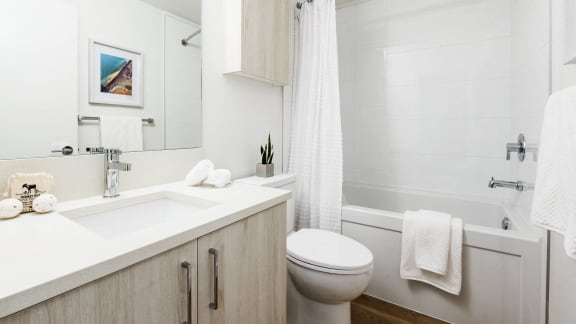 a bathroom with a sink and a toilet and a shower