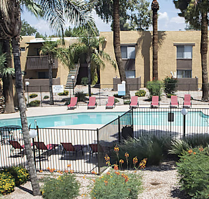 Madera at Metro Apartments in Phoenix, Arizona Exterior and Pool with Lounge Chairs