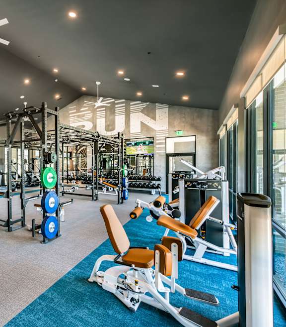 a gym with treadmills and weights on a blue rug