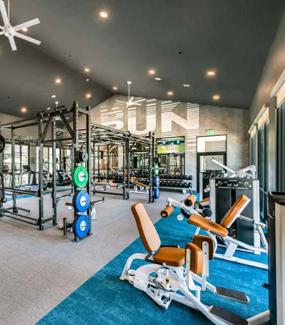 a gym with treadmills and weights on a blue rug