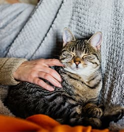 a woman holding a cat in her arms