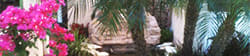 Casa Santa Marta I Senior Apartments in Sarasota, FL lush landscaping with pond and palms