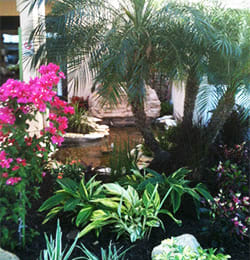 Casa Santa Marta I Senior Apartments in Sarasota, FL lush landscaping with pond and palms