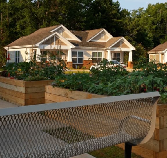 planter garden