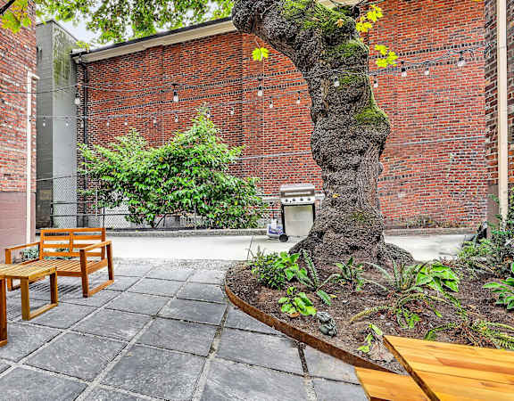 Courtyard with BBQ grill - John Winthrop Apartments