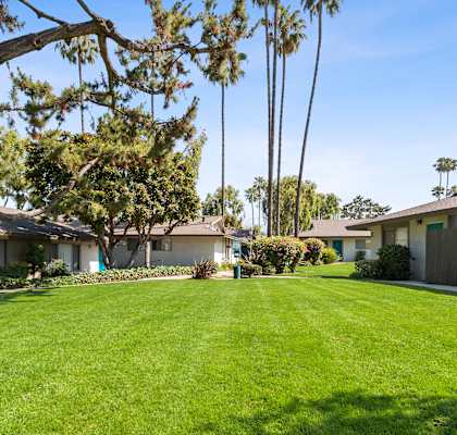 a yard with a house and a tree at Terramonte Apartment Homes, California, 91767