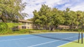 Thumbnail 22 of 27 - Tennis Court at Laurel Oaks Apartments in Tampa, FL