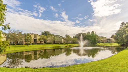 Pond at Laurel Oaks Apartments in Tampa, FL
