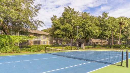 Tennis Court at Laurel Oaks Apartments in Tampa, FL