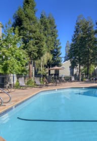 Blue Cool Swimming Pool at Wood Creek Apartments, 94523
