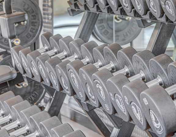 a row of dumbbells in a gym