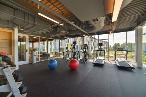 In background, two ellipticals, two treadmills, arranged in a row in front of large exterior-facing window. Two exercise balls in center of room in foreground, left one is red and right one blue.