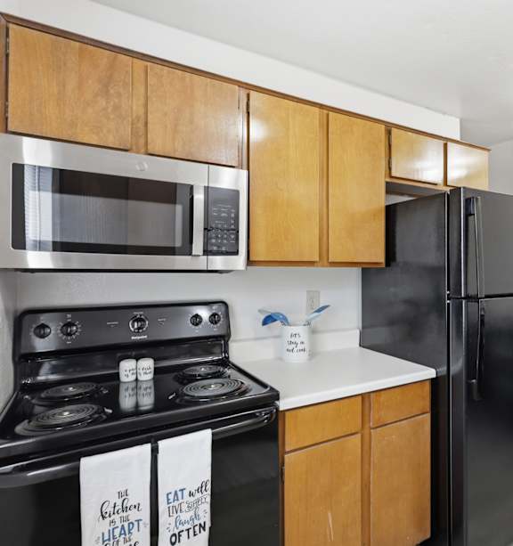 A kitchen with a black refrigerator and stove.