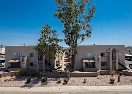A row of houses with a tree in front of them.