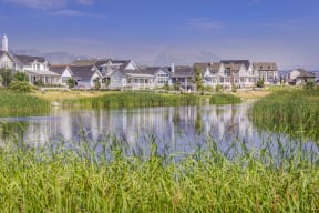 a pond in front of a row of houses