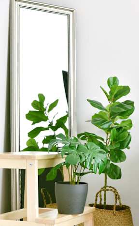 A grey couch sits next to a mirror and a potted plant.
