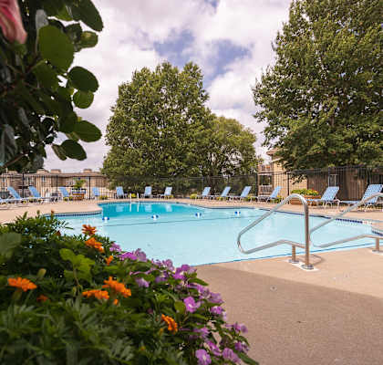Wilshire swimming pool, surrounded by well-maintained landscaping and seating for residents to enjoy.
