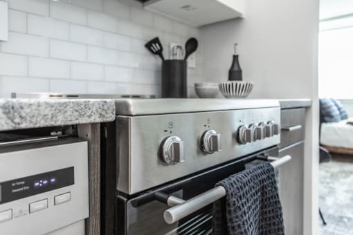 Stainless steel gas stove next to dishwasher in modern, renovated kitchen