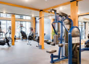 Thumbnail 40 of 40 - a gym with a lot of exercise equipment