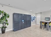 Thumbnail 21 of 26 - Amazon Hub Locker at Avia Apartments at Reedy Creek, Kissimmee, 34747