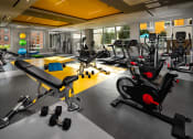 Thumbnail 4 of 27 - Gym with weights and treadmill