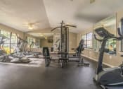 Thumbnail 17 of 27 - Fitness Center at Laurel Oaks Apartments in Tampa, FL