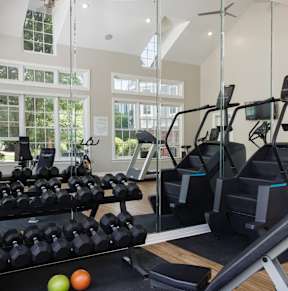 A gym with a treadmill, weights, and windows.