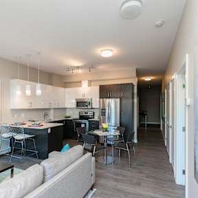A modern open plan living and kitchen area with a grey sofa.