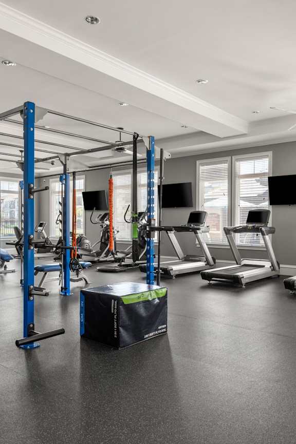 A gym with a variety of equipment including treadmills, weights, and a boxing ring.