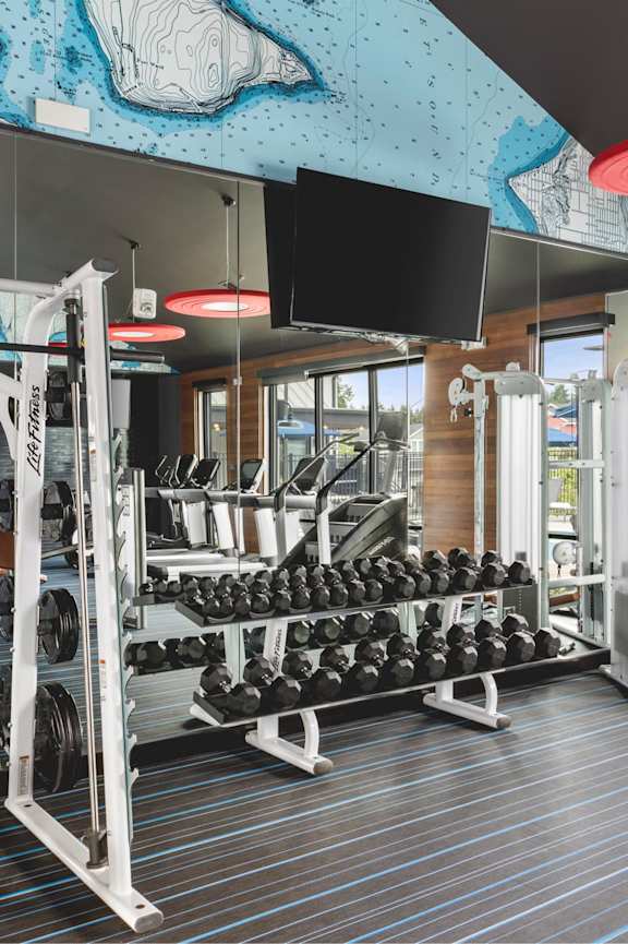 A gym with a variety of equipment including weights and weight machines.