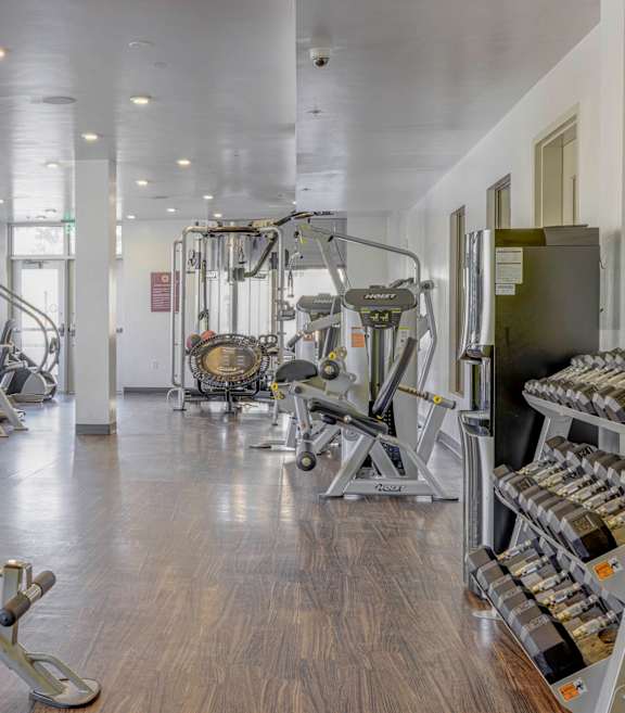 A gym with a variety of equipment including a treadmill, stationary bike, and a rowing machine.