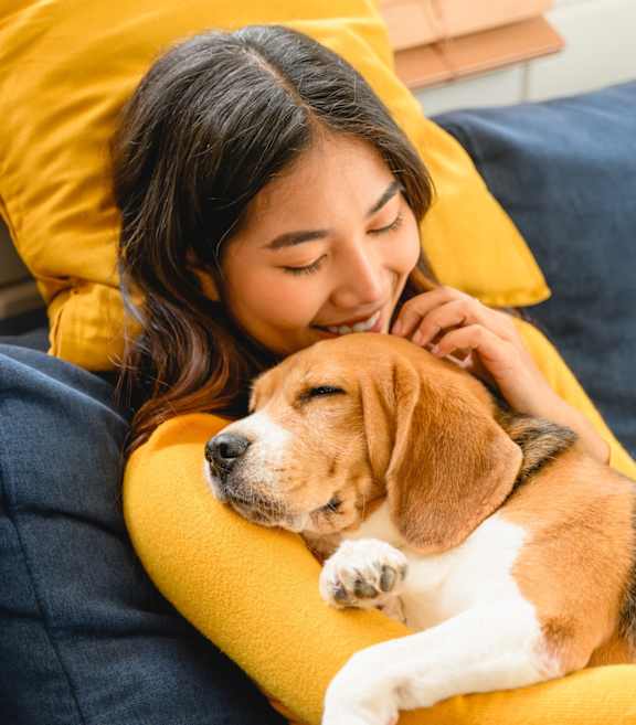 A woman is cuddling with a beagle on a blue couch.