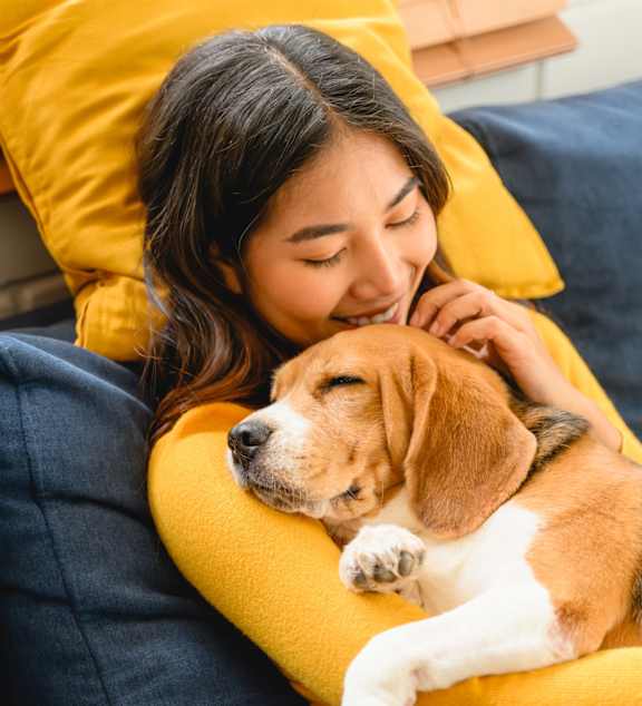 A woman is cuddling with a beagle on a blue couch.