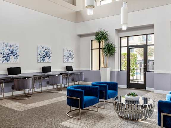 A room with blue chairs and a plant in it.