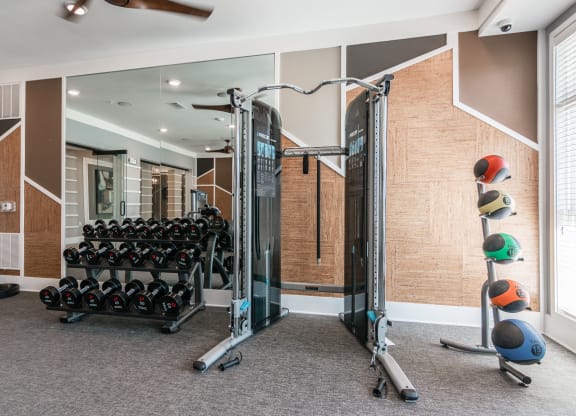 Vintage Foxland fitness center.