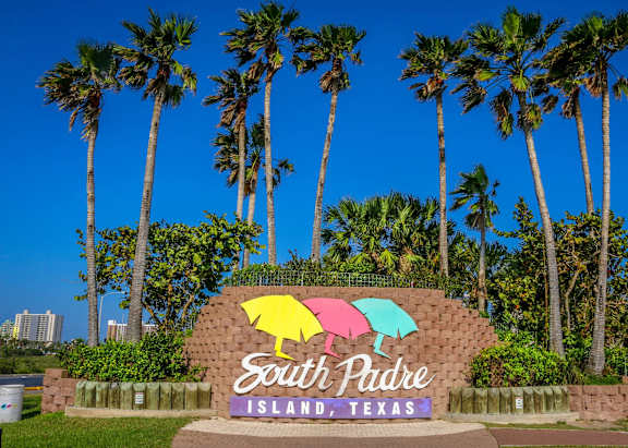 A sign for South Padre Island, Texas, is displayed in front of a row of palm trees.