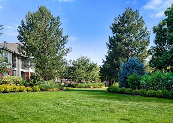 A large grassy area with trees and a building in the background.